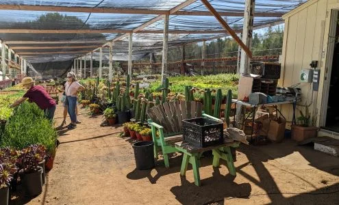 Mariscal Cactus & Succulents, Inc. business photo