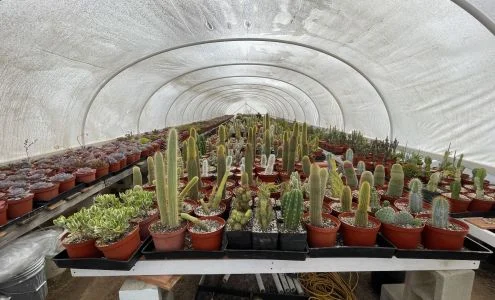 Rojas Succulents and Cacti business photo
