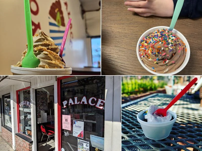 Yogurt Palace business photo
