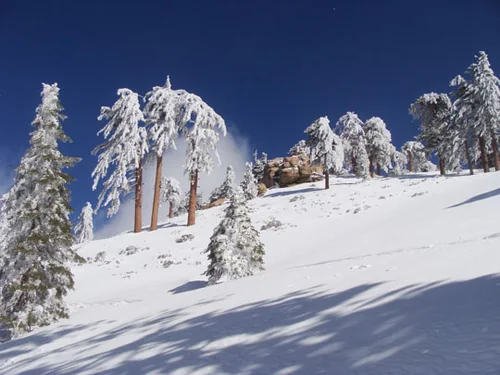 Snow Valley CA 2010, Snow Valley Mountain Resort